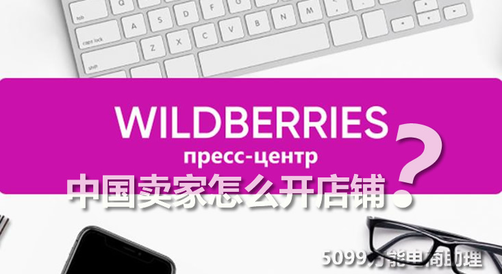 wildberries中国怎么入驻（中国卖家入驻的步骤与要求）