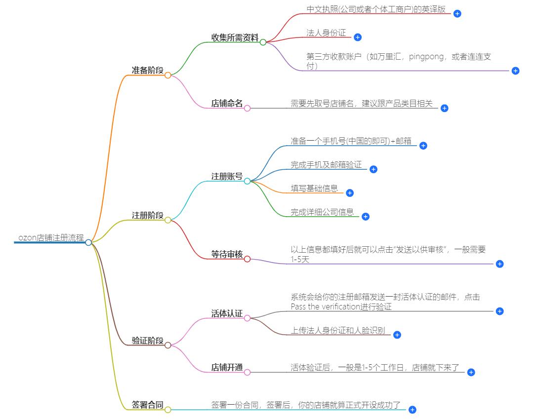 ozon店铺注册流程详解：从零开始的入驻指南