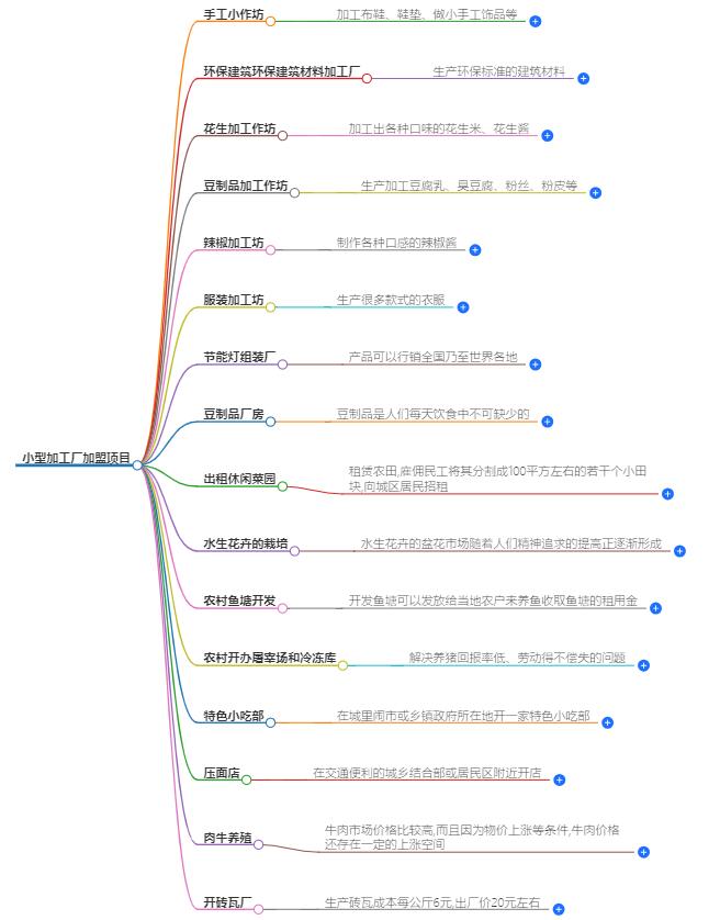 小型加工厂加盟项目有哪些？加盟项目推荐