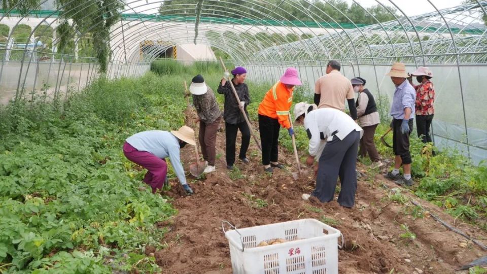 13个农村暴利小生意有哪些？揭秘农村致富新途径