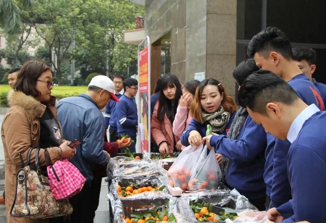 社区团购的发展趋势如何？未来的市场前景怎样