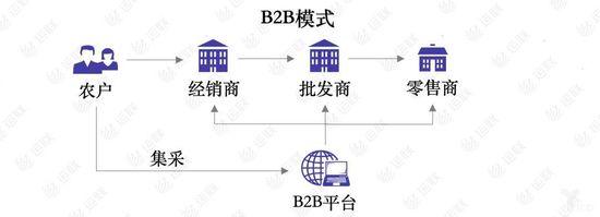 综合型b2b和垂直型b2b的比较有哪些？市场应用如何