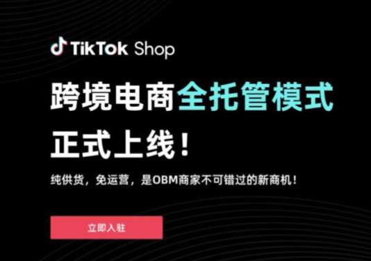 tiktok跨境电商招商如何进行？有什么成功案例