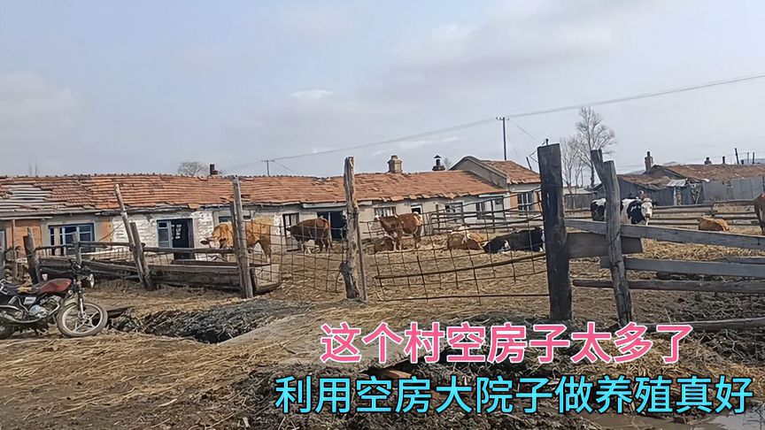 空房子养殖什么挣钱快？高效养殖项目推荐与收益分析