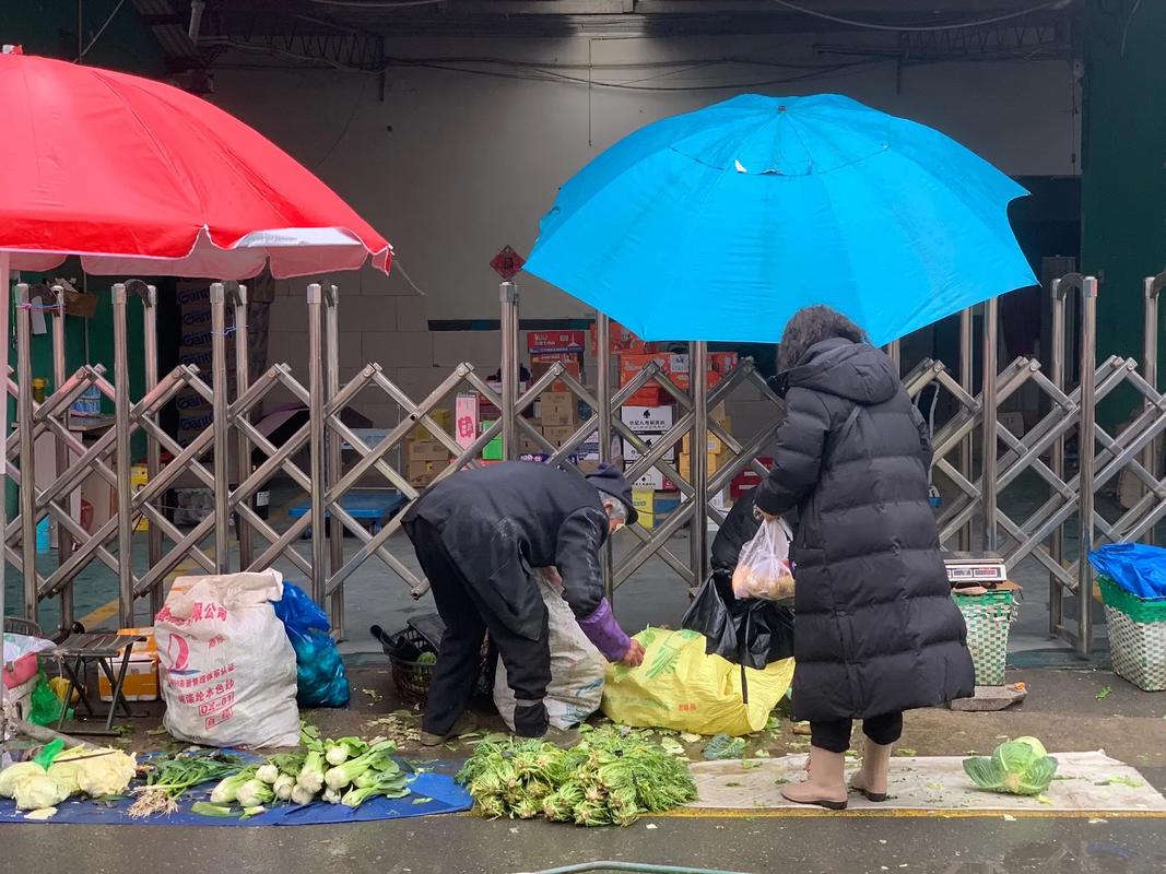 农村卖菜开店赚钱吗？一年能赚多少钱