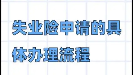 失业险怎么申请办理？详细申请流程与材料准备有哪些