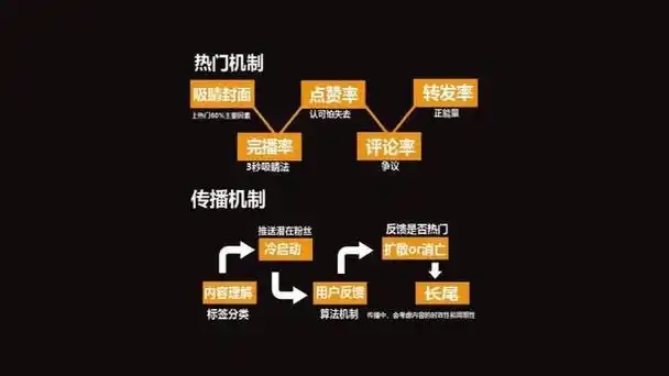 直播运营未来规划方向有哪些？运营策略如何调整