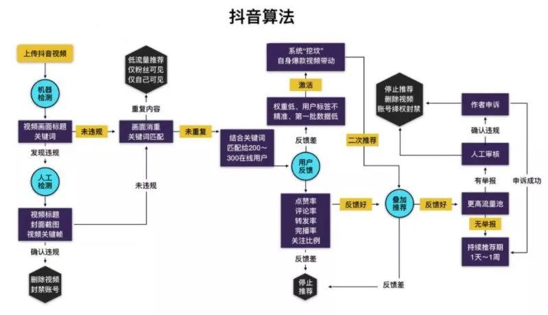 短时间内如何吸粉引流并变现流量？快速掌握流量变现涨粉教学