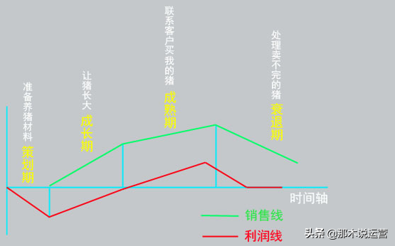 淘宝店铺运营计划方案范文怎么写（了解淘宝运营方案包括的内容）