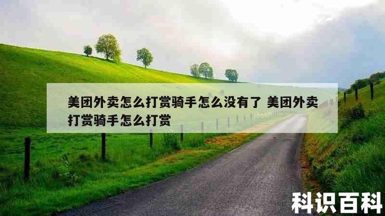 美团外卖怎么打赏骑手怎么没有了（真实的原因是什么）